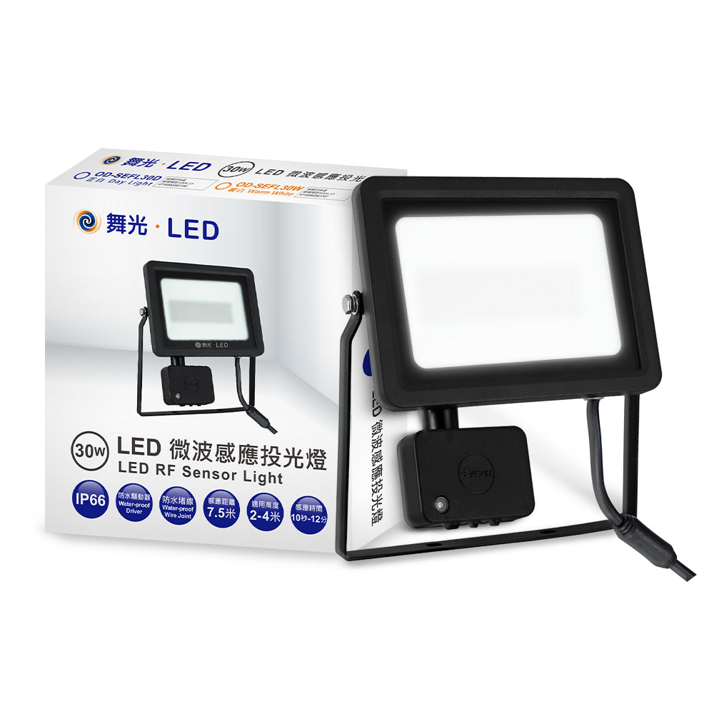 舞光DanceLight 20/30W 微波感應 LED投光/泛光/探照燈