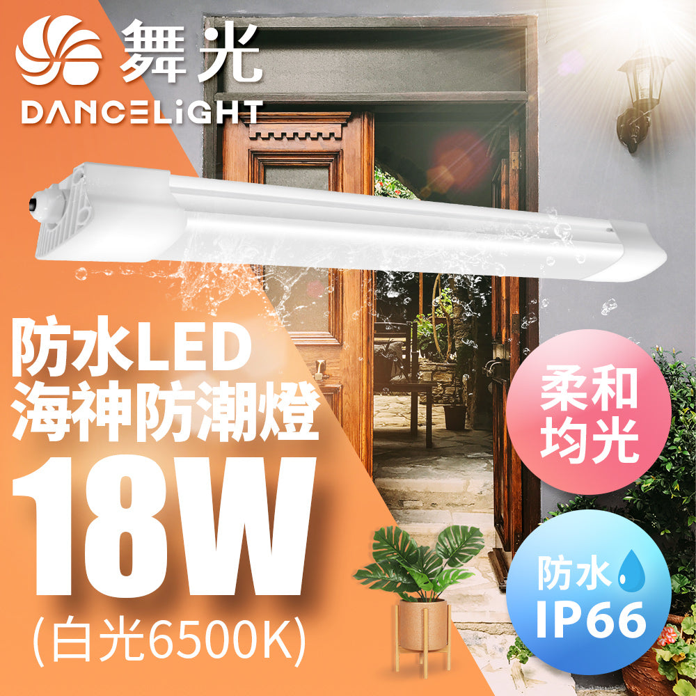 舞光DanceLight 海神 防水防潮 2尺/4尺 18W/36W 白光 LED戶外燈具
