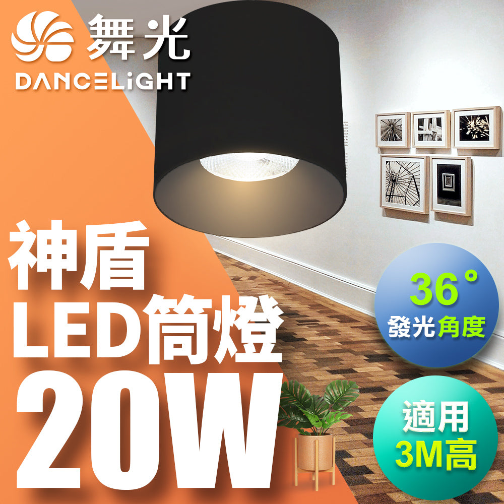 舞光DanceLight 神盾 均光照明 LED筒燈