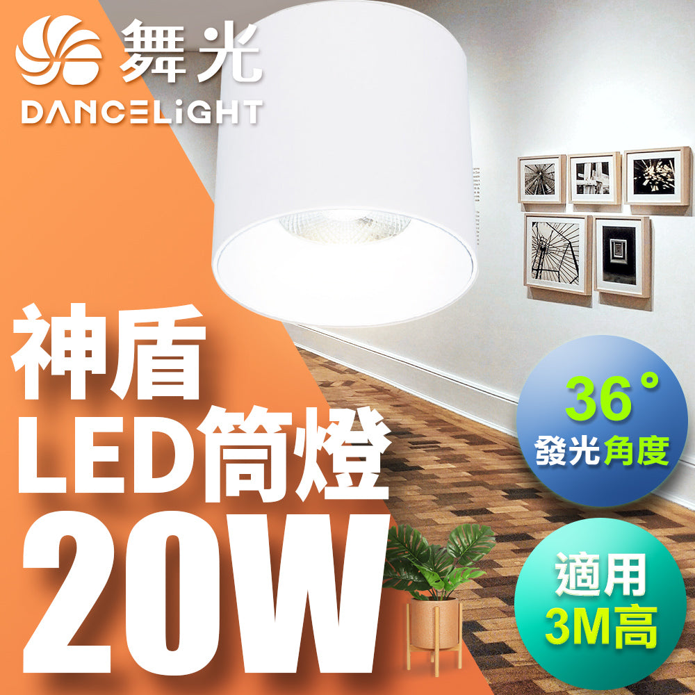 舞光DanceLight 神盾 均光照明 LED筒燈