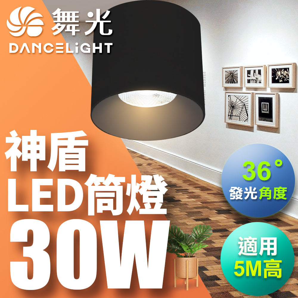 舞光DanceLight 神盾 均光照明 LED筒燈