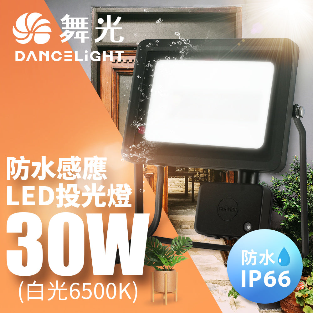 舞光DanceLight 20/30W 微波感應 LED投光/泛光/探照燈