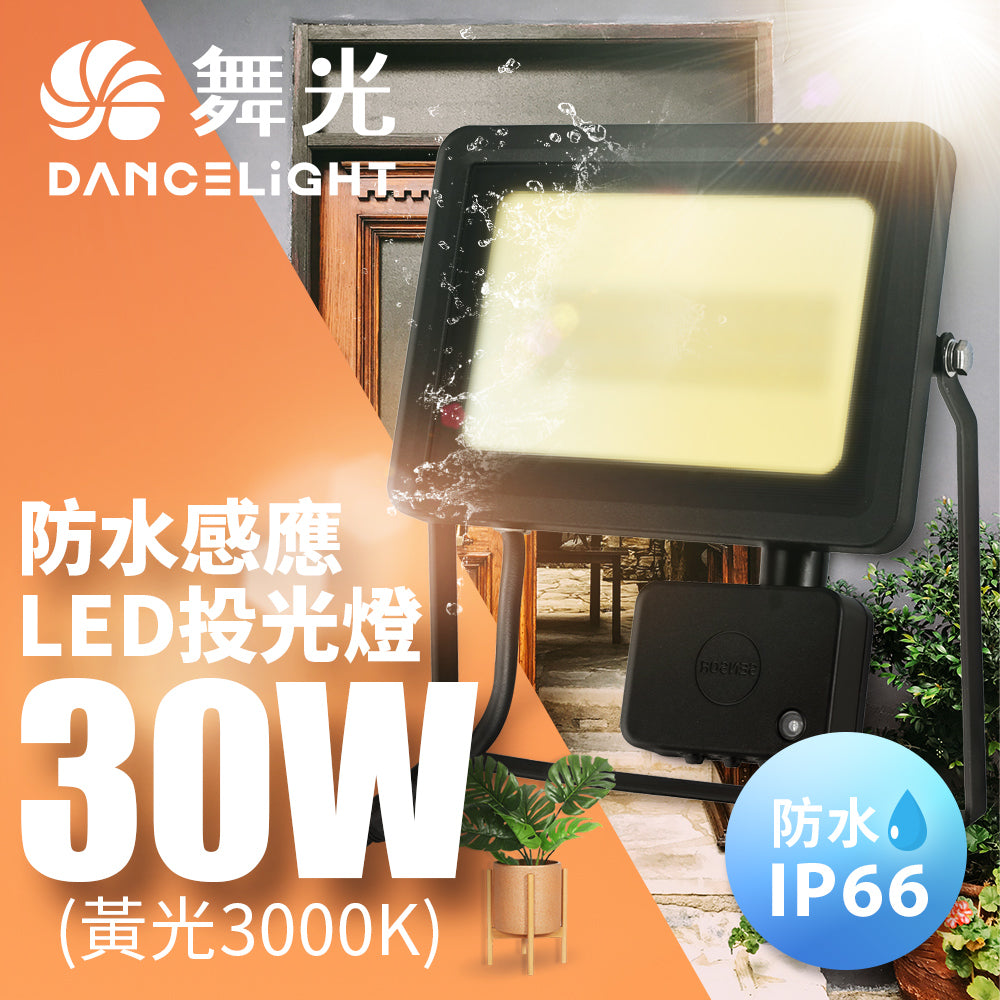 舞光DanceLight 20/30W 微波感應 LED投光/泛光/探照燈