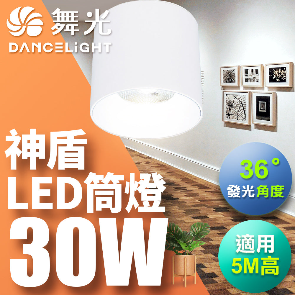 舞光DanceLight 神盾 均光照明 LED筒燈