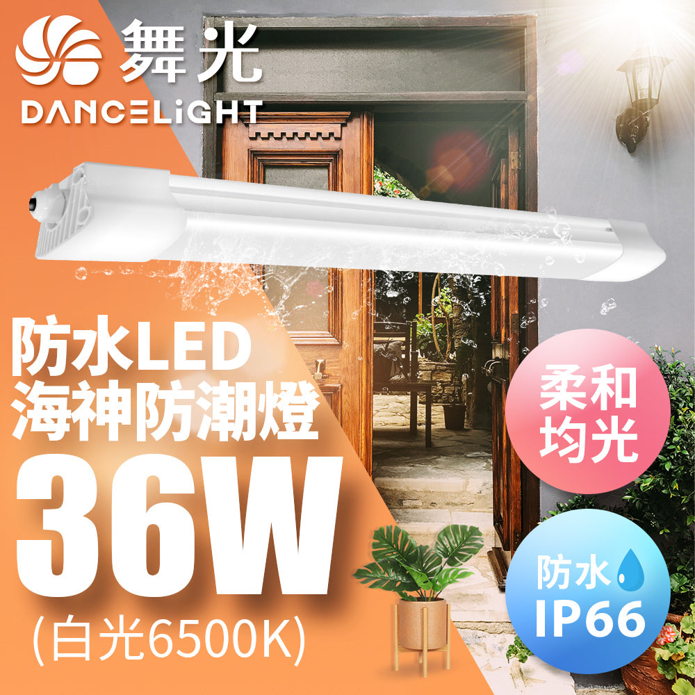 舞光DanceLight 海神 防水防潮 2尺/4尺 18W/36W 白光 LED戶外燈具