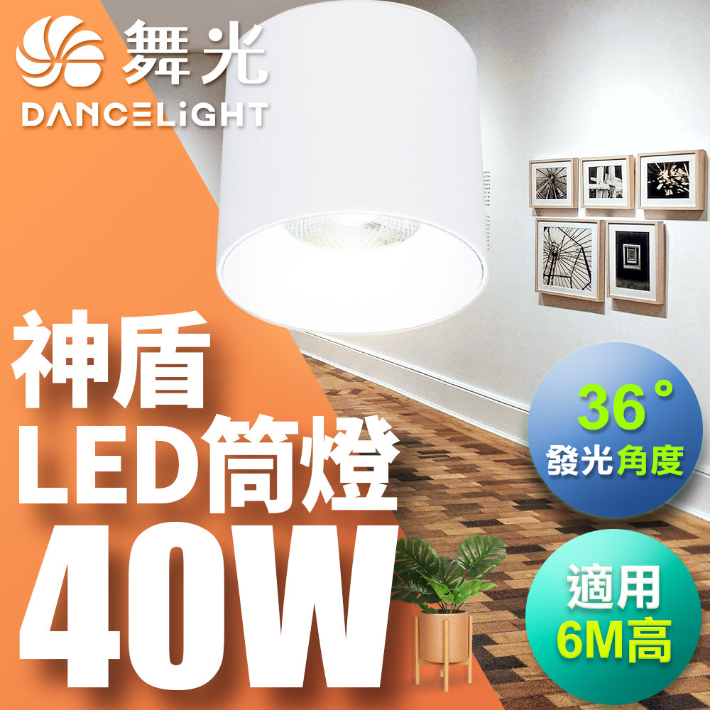 舞光DanceLight 神盾 均光照明 LED筒燈