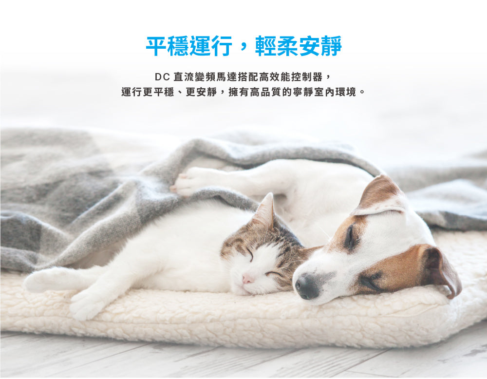 台達電子DC直流節能60吋加州系列吊扇無線遙控 適用5-7坪 電壓110V