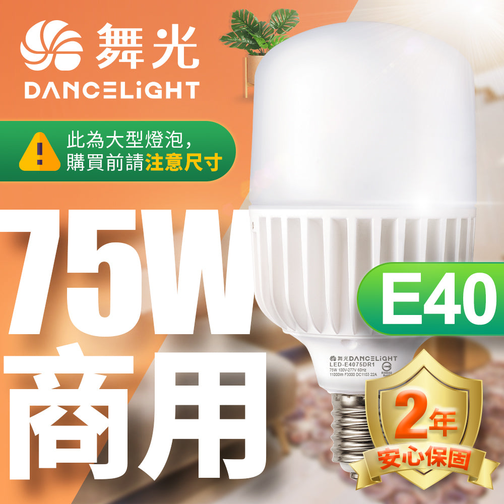 舞光DanceLight 大瓦數系列 LED燈泡