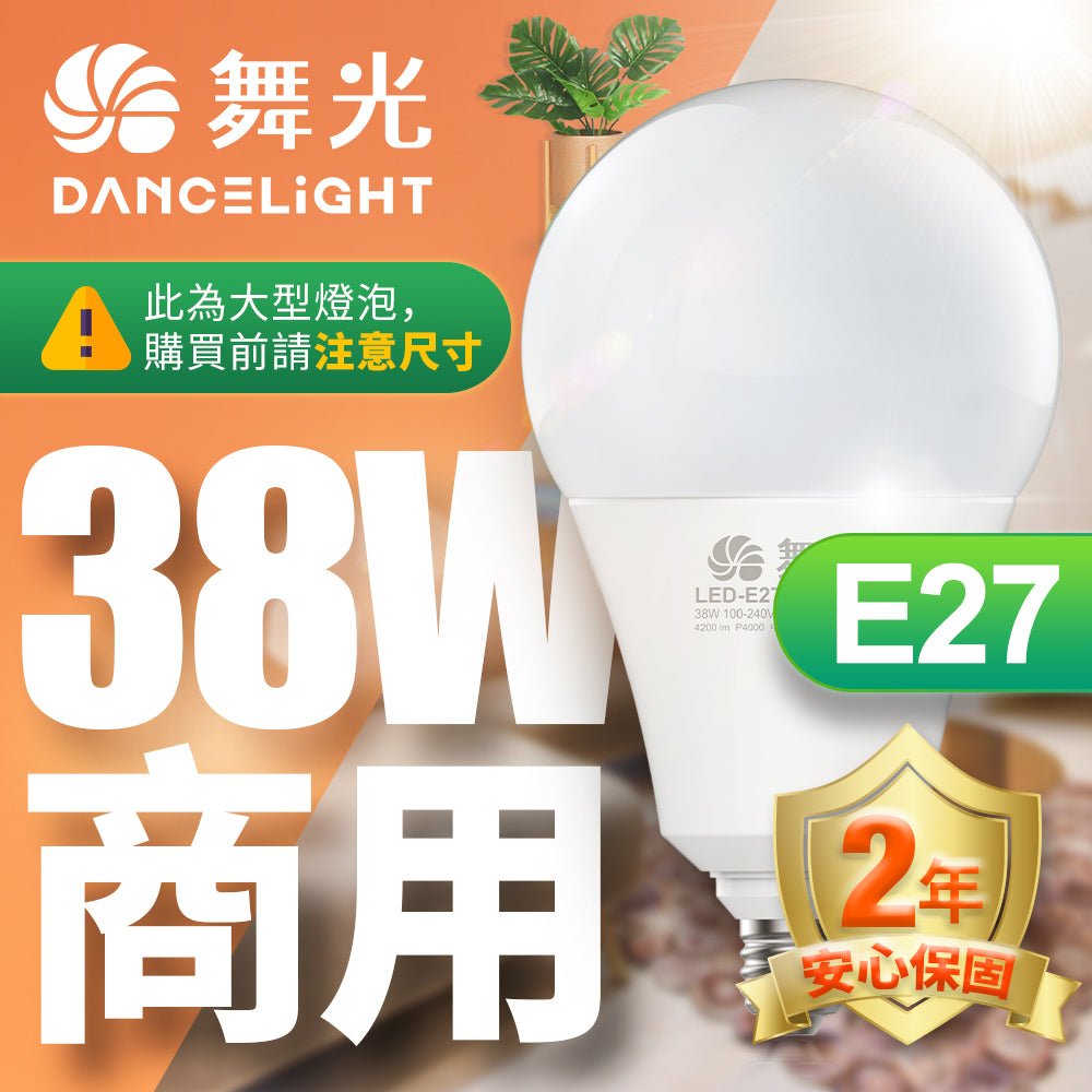 舞光DanceLight 大瓦數系列 LED燈泡