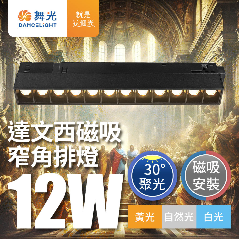 舞光DanceLight 12W 達文西 窄角聚焦/可擺角 磁吸排燈 LED軌道燈